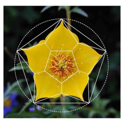 Planeta Aleph website